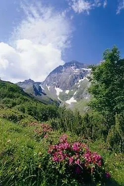 Permoser * ノイシュティフト・イム・シュトゥーバイタール