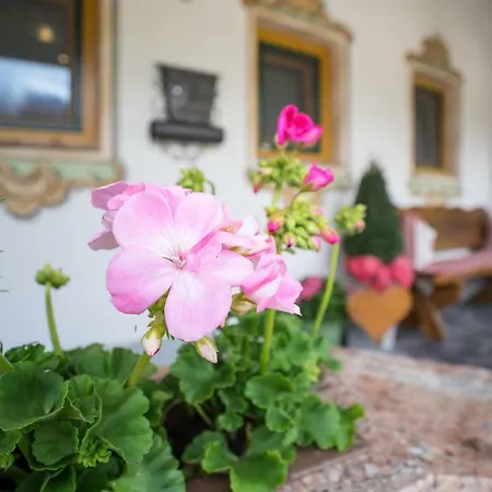 アパート Permoser *