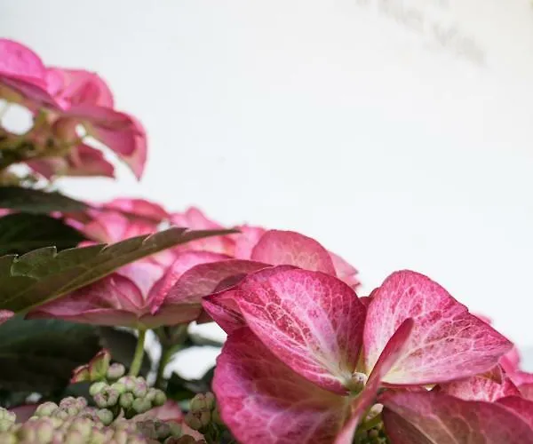 Permoser Апартаменты Нойштифт-им-Штубайталь