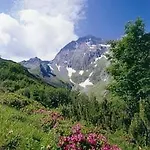 Permoser * ノイシュティフト・イム・シュトゥーバイタール